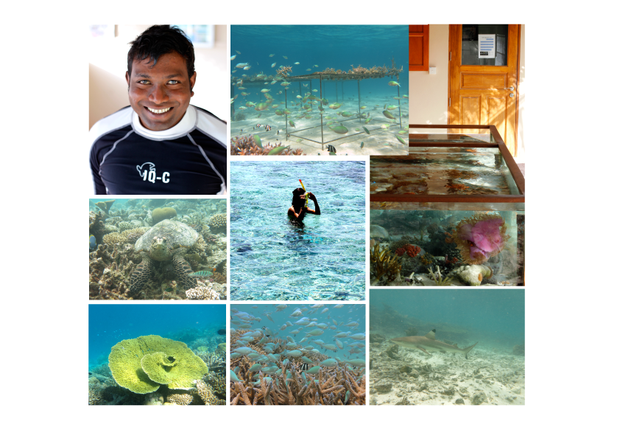 Underwater World