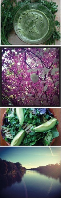 Detox Day & Night