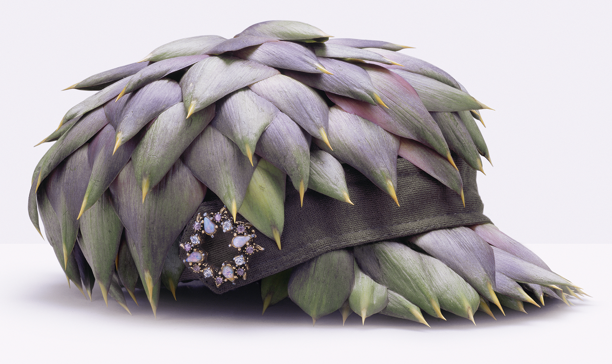 A matter of Taste. Food in Fashion by Fulvio Bonavia