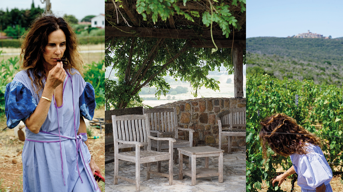 Monteverro. The harmony of nature and wine making